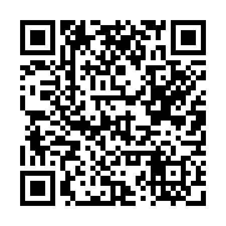 QR code for DZT378