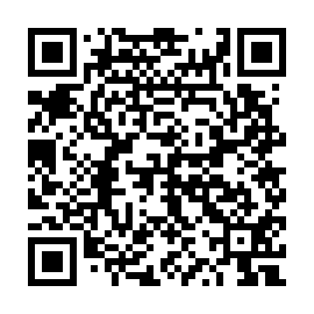 QR code for DZW711