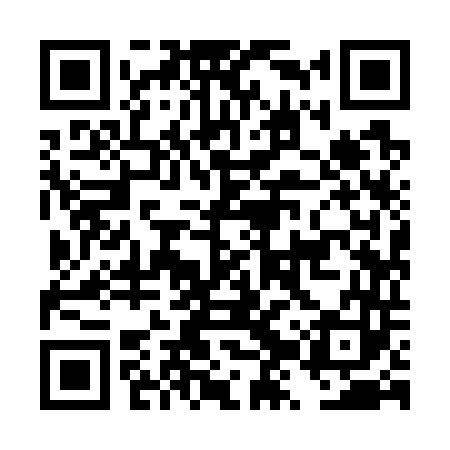 QR code for DZY743