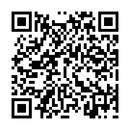 QR code for DZZ290