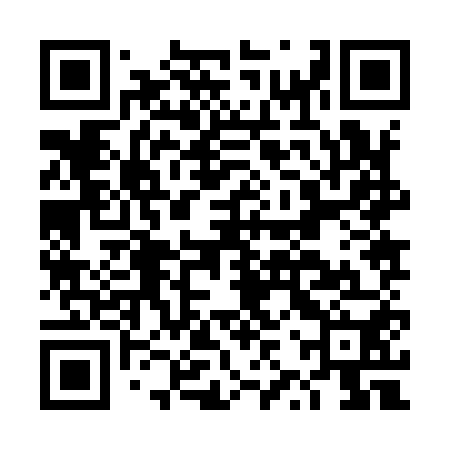 QR code for DZZ950