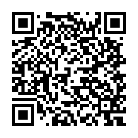 QR code for ECG596