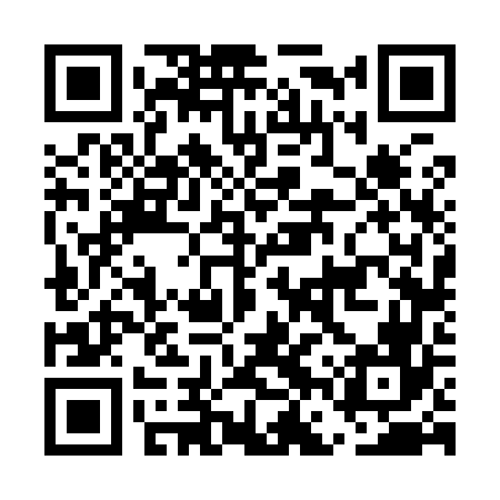 QR code for EFV966
