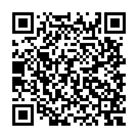 QR code for EIN541