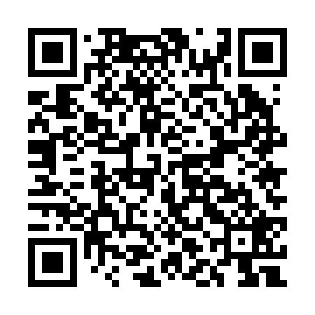 QR code for ELE229