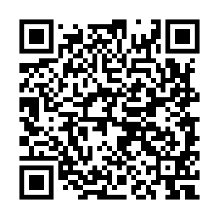 QR code for ENT991