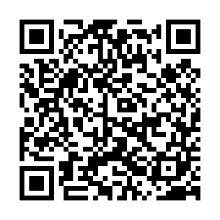 QR code for ERG441