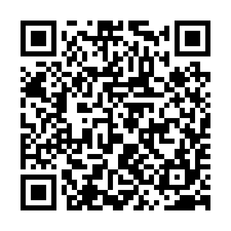 QR code for ESC294