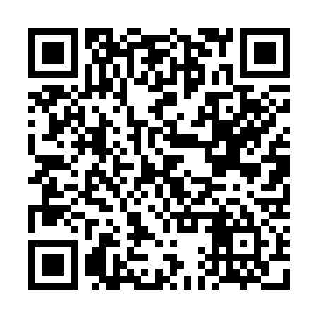 QR code for FAT335