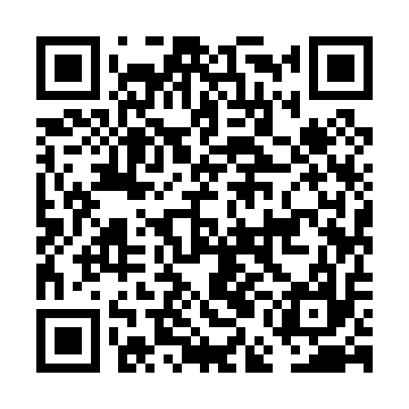 QR code for FEI017