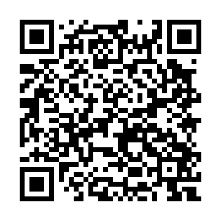 QR code for FEI043