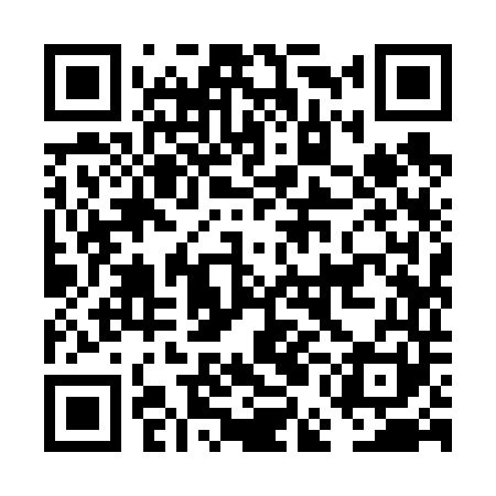 QR code for FEI641
