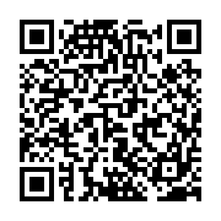 QR code for FFI217