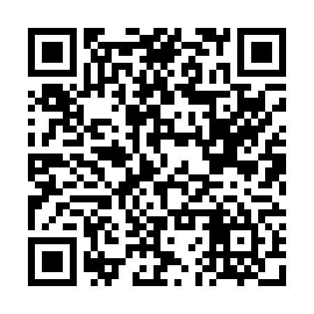 QR code for FFX065