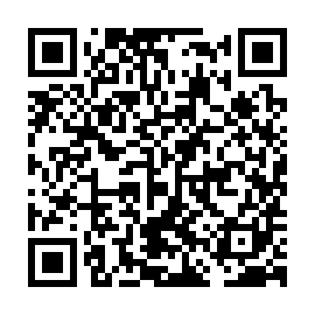 QR code for FFY381