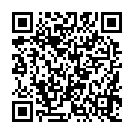 QR code for FHI394