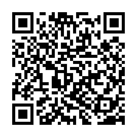 QR code for FHI538