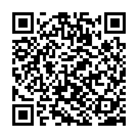 QR code for FIG329