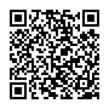 QR code for FIG613
