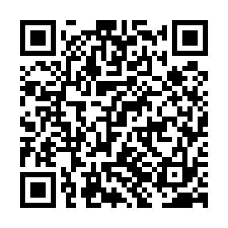 QR code for FJG533