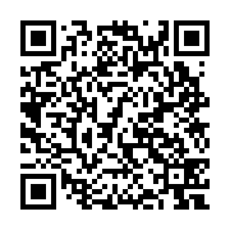 QR code for FJS339