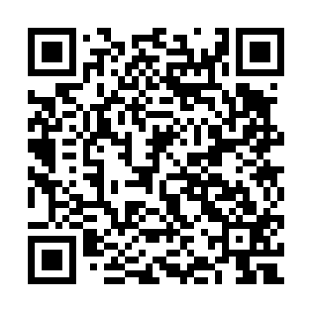 QR code for FJS413