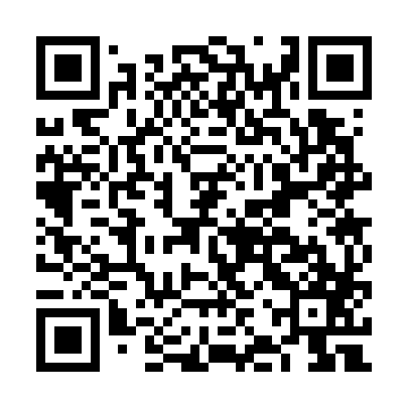 QR code for FJS787