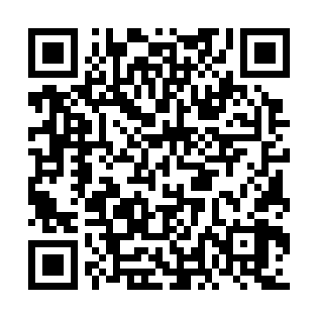 QR code for FLE368