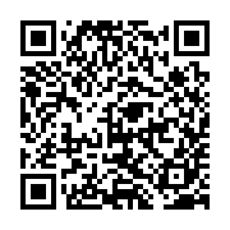 QR code for FLS380