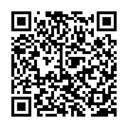 QR code for FLV311