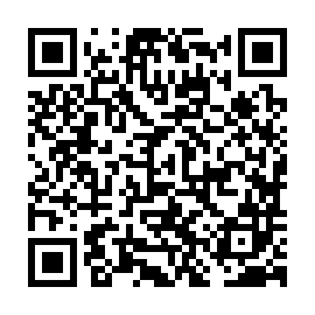QR code for FNZ382