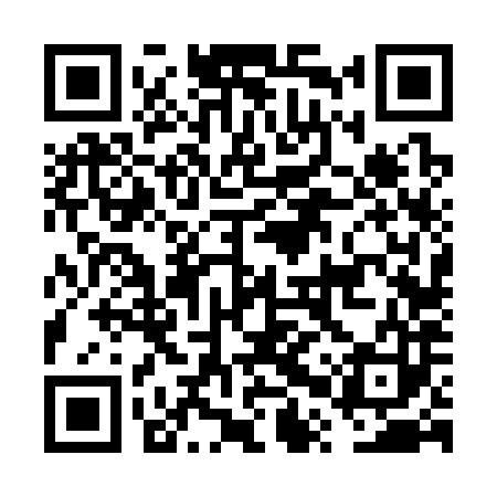 QR code for FPV383