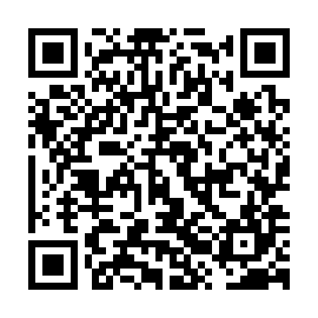 QR code for FRO384