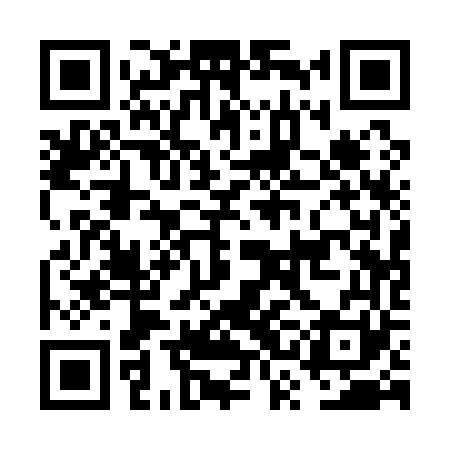 QR code for FSA161