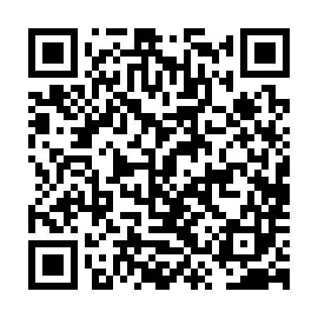 QR code for FSP383