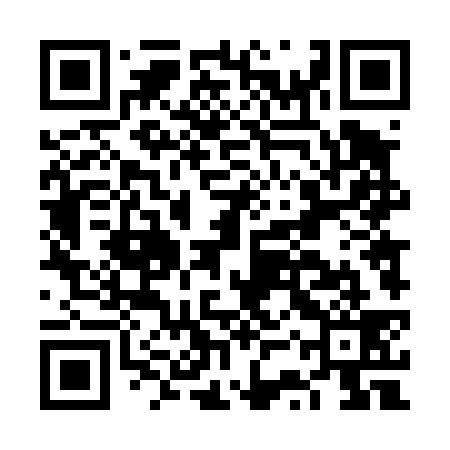 QR code for FST439