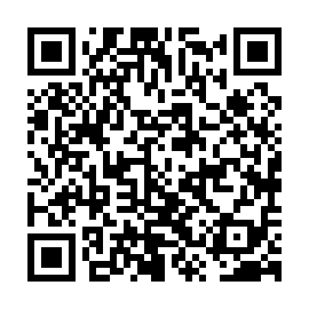 QR code for FSX119