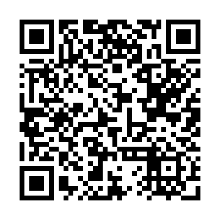 QR code for FVI339