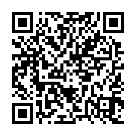 QR code for FVN311