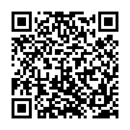 QR code for FZG416