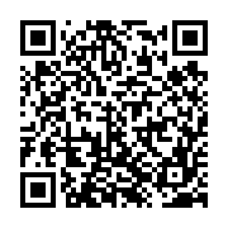 QR code for FZG656