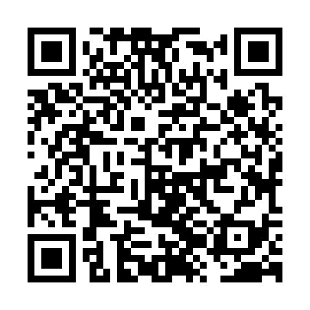 QR code for FZJ339