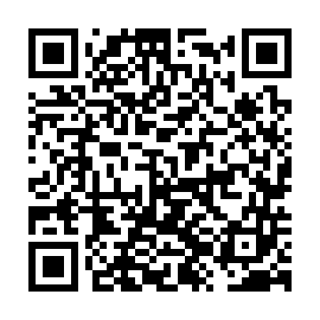 QR code for FZN343