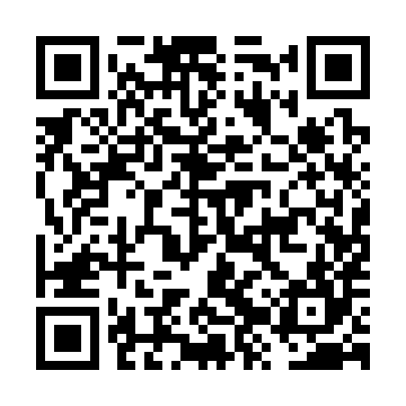 QR code for FZQ384