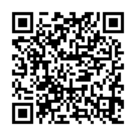 QR code for FZT971
