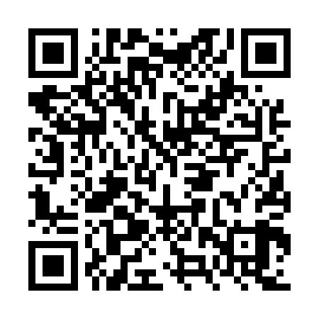 QR code for FZV509