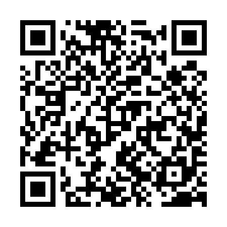 QR code for FZV595