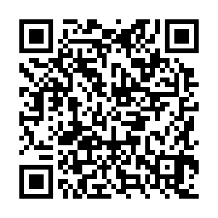 QR code for FZX380