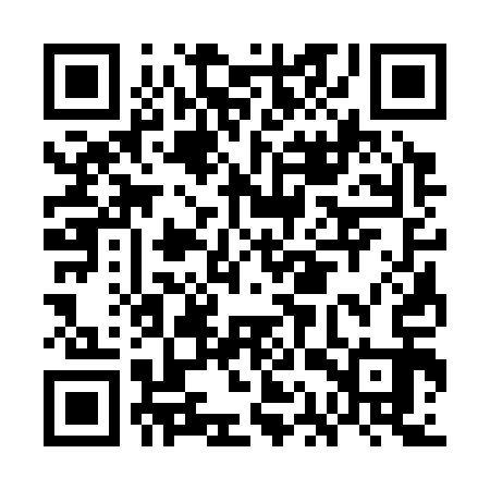 QR code for GAS313