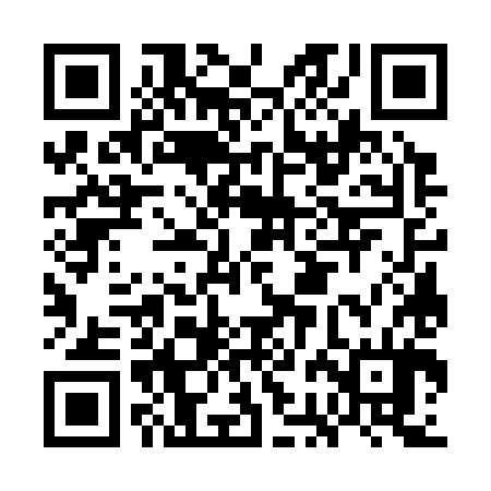 QR code for GBG384
